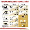 "Royal Canin" British Shorthair Adult сухой корм для взрослых британских короткошерстных кошек 400г, фото 6