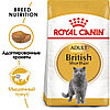 "Royal Canin" British Shorthair Adult сухой корм для взрослых британских короткошерстных кошек 2кг, фото 3