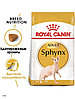 "Royal Canin" Sphynx Adult сухой корм для взрослых кошек породы Сфинкс 400гр, фото 2
