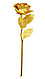Роза золотая SiPL, фото 6