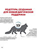 "Royal Canin" Hypoallergenic сухой диетический корм для кошек при пищевой аллергии или непереносимости 500г, фото 3
