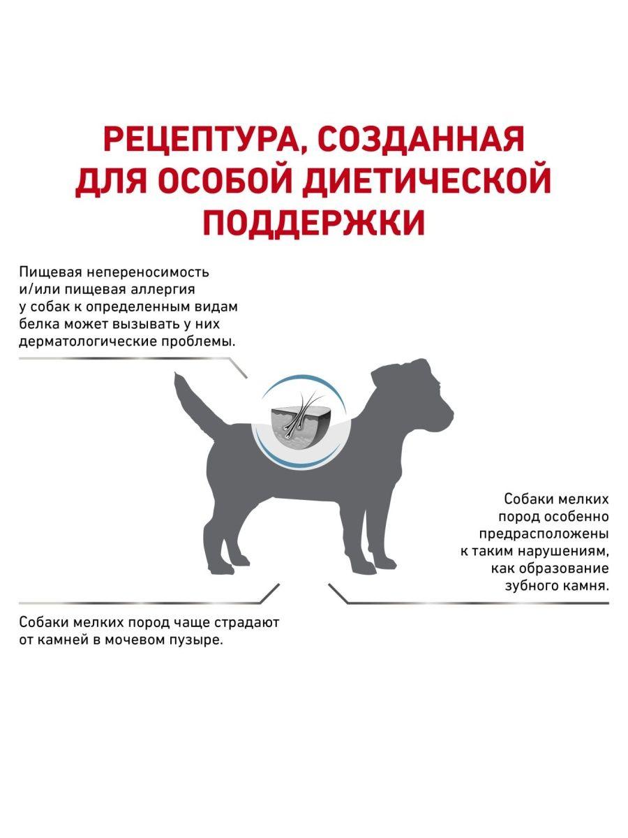 "Royal Canin" Hypoallergenic Small Dog сухой диетический корм для взрослых собак при пищевой аллергии 1кг - фото 6 - id-p202098281