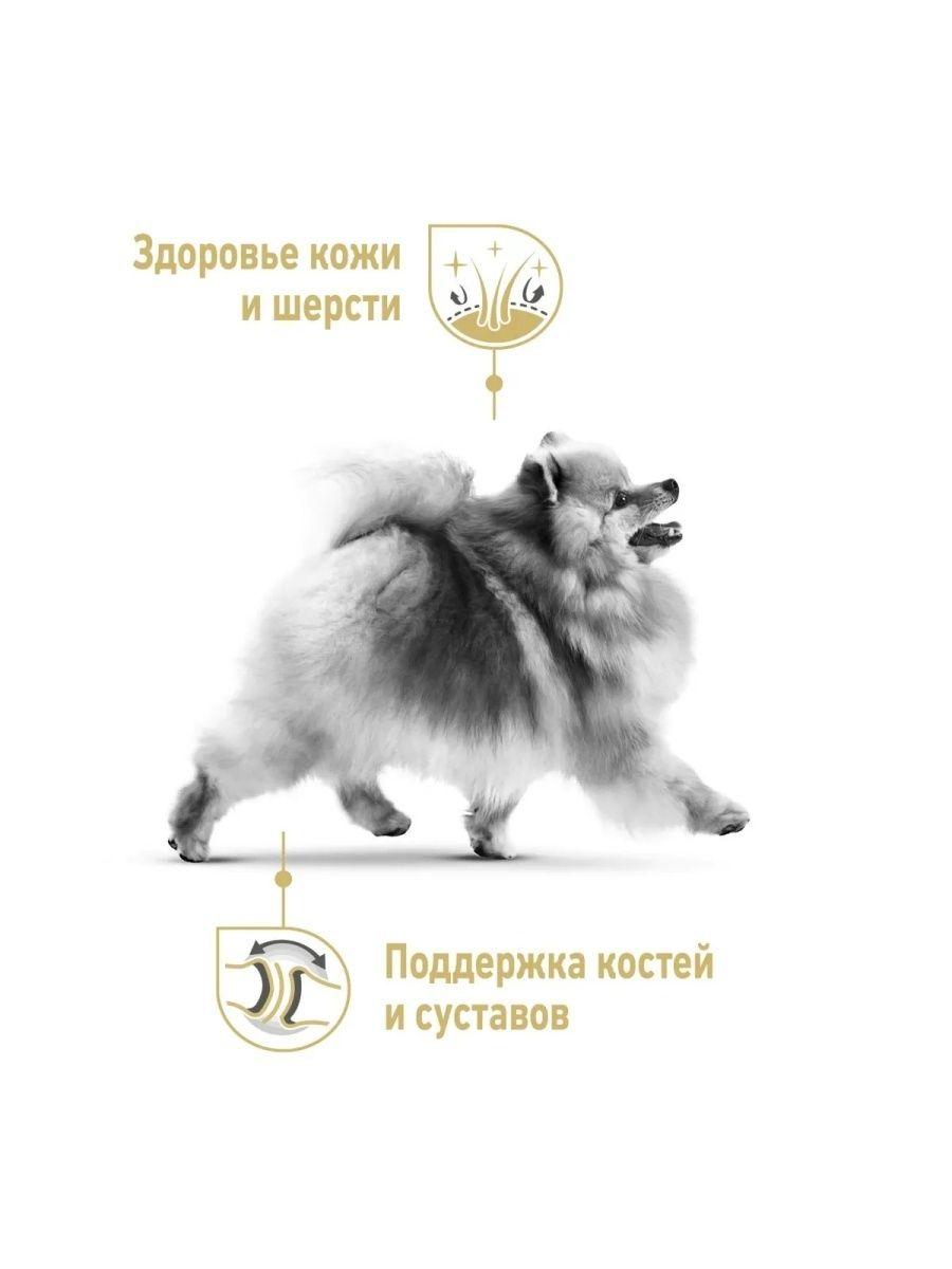 "Royal Canin" Pomeranian Adult сухой корм для взрослых собак породы Померанский Шпиц 500г - фото 3 - id-p202114832