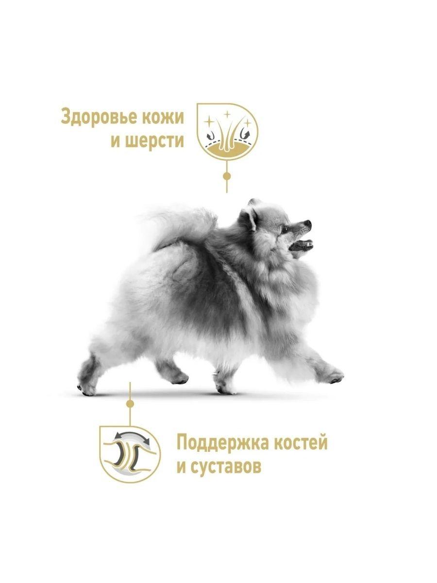 "Royal Canin" Pomeranian Adult сухой корм для взрослых собак породы Померанский Шпиц 1.5кг - фото 3 - id-p202114867