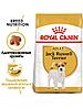 "Royal Canin" Jack Russell Terrier Adult сухой корм для взрослых собак породы Джек Рассел 500г, фото 4