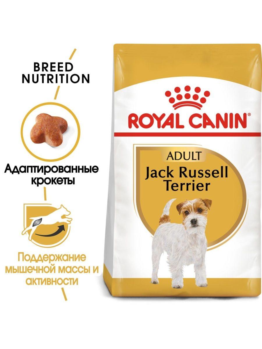 "Royal Canin" Jack Russell Terrier Adult сухой корм для взрослых собак породы Джек Рассел 500г - фото 4 - id-p202115150