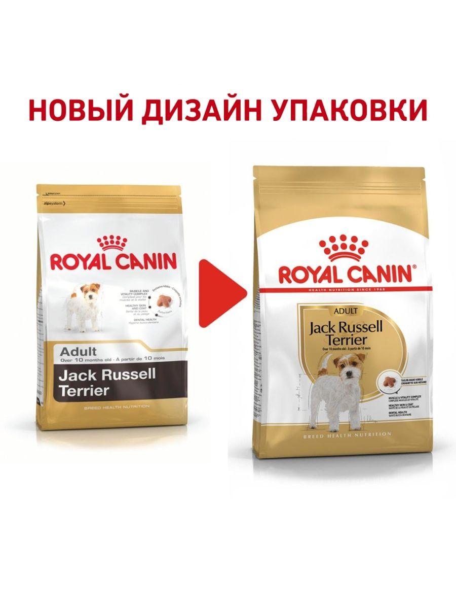 "Royal Canin" Jack Russell Terrier Adult сухой корм для взрослых собак породы Джек Рассел 1.5кг - фото 3 - id-p202115160