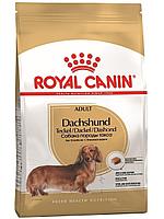 "Royal Canin Dachshund Adult сухой корм для взрослых собак породы Такса 1.5кг