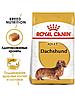 "Royal Canin Dachshund Adult сухой корм для взрослых собак породы Такса 1.5кг, фото 3