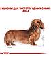 "Royal Canin Dachshund Adult сухой корм для взрослых собак породы Такса 1.5кг, фото 4