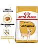 "Royal Canin" Chihuahua Adult сухой корм для взрослых собак породы Чихуахуа 500г, фото 2