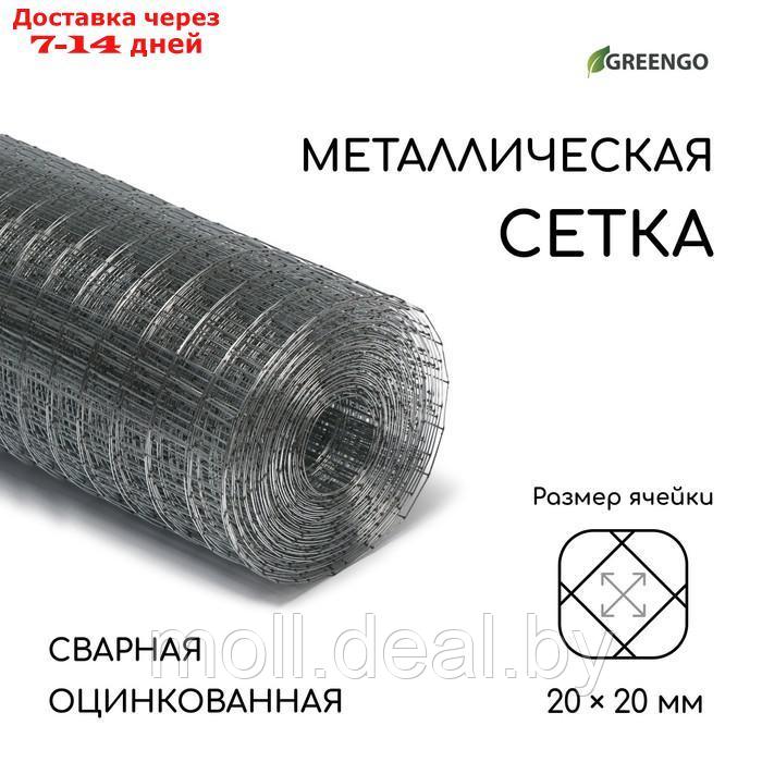 Сетка оцинкованная сварная 1 х 10 м, ячейка 20 х 20 мм, d=0,7 мм, металл Greengo - фото 1 - id-p201774406