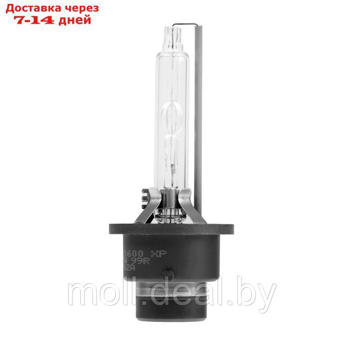 Ксеноновая лампа FENOX автомобильная, универсальная, D4S, 4300 K, BX1600 - фото 2 - id-p202077351