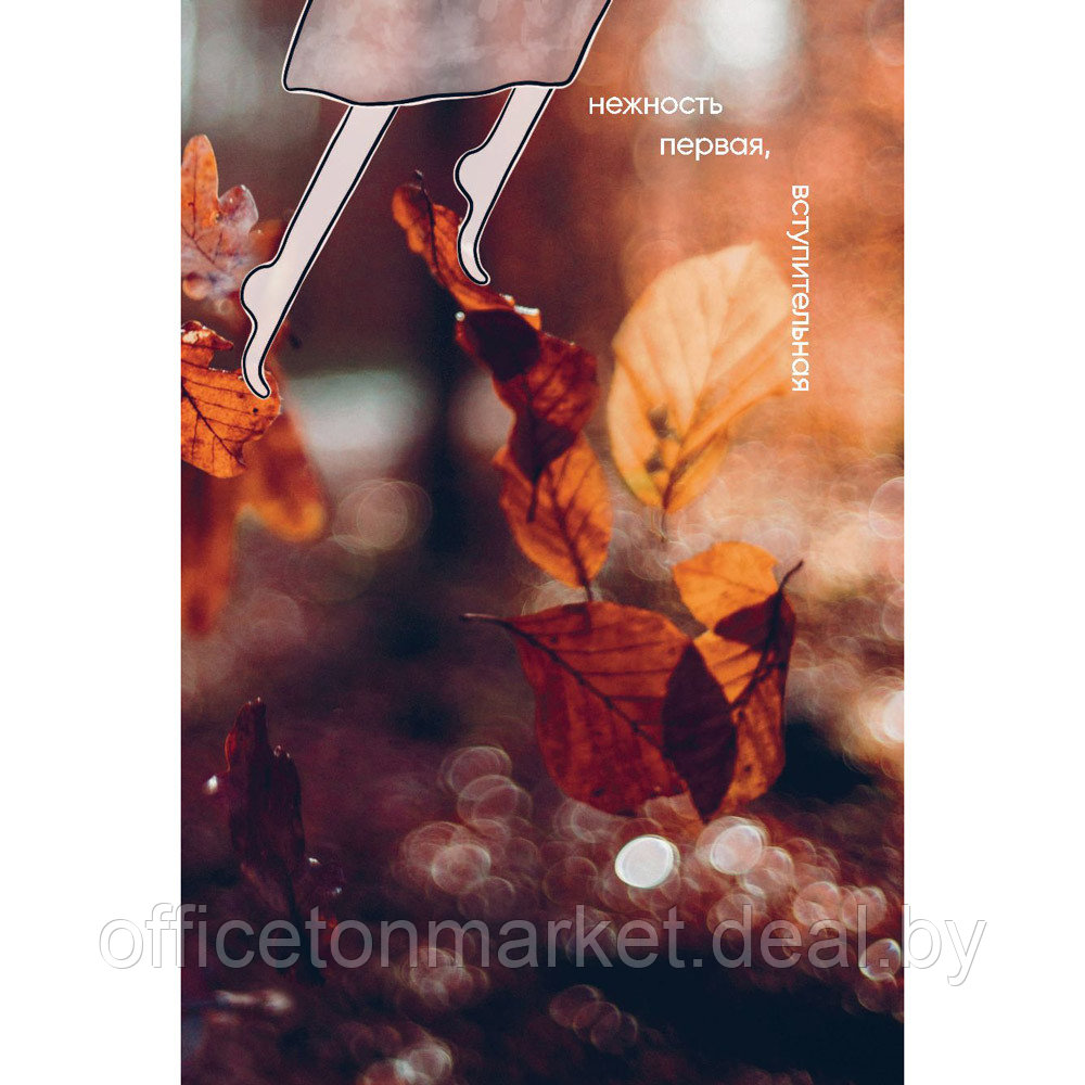Книга "К себе нежно. Подарочное издание", Ольга Примаченко - фото 10 - id-p202115674