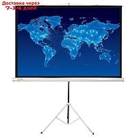 Экран Cactus 150x150 Triscreen CS-PST-150x150 1:1, напольный, рулонный