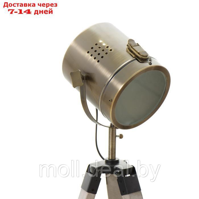 Настольная лампа "Алес" E27 40Вт бронза 24х31 см - фото 7 - id-p202077702