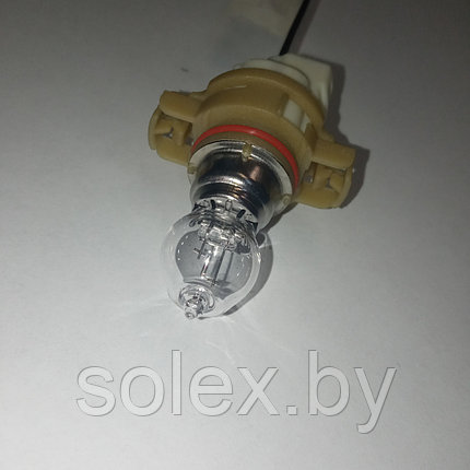 Лампа ходовых огней PSX24W 12V, фото 2