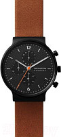 Часы наручные мужские Skagen SKW6767