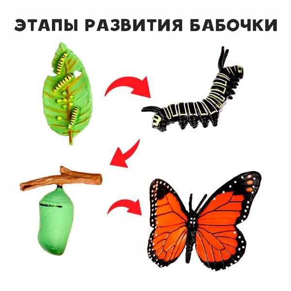 Обучающий набор Funny Toys Этапы развития бабочки - фото 1 - id-p202179145