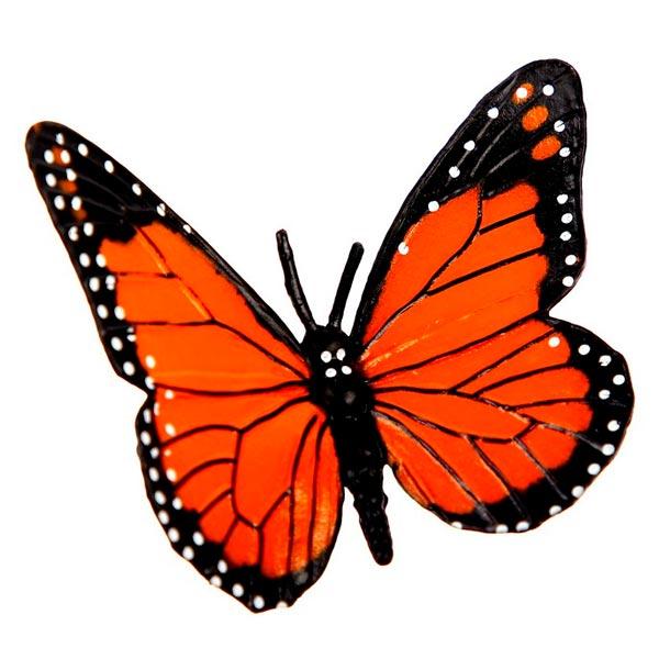 Обучающий набор Funny Toys Этапы развития бабочки - фото 3 - id-p202179145