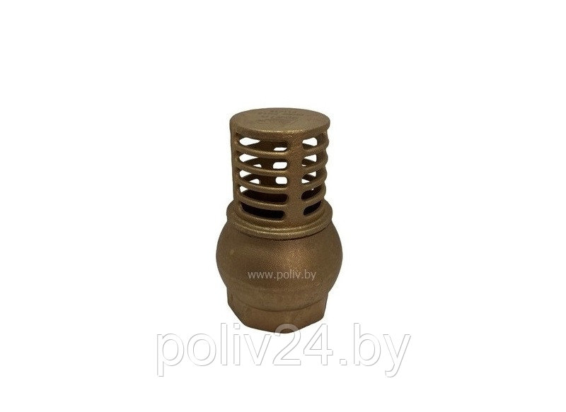 Заборный клапан с сеткой латунный, латунный 1 1/2 - фото 1 - id-p202191433