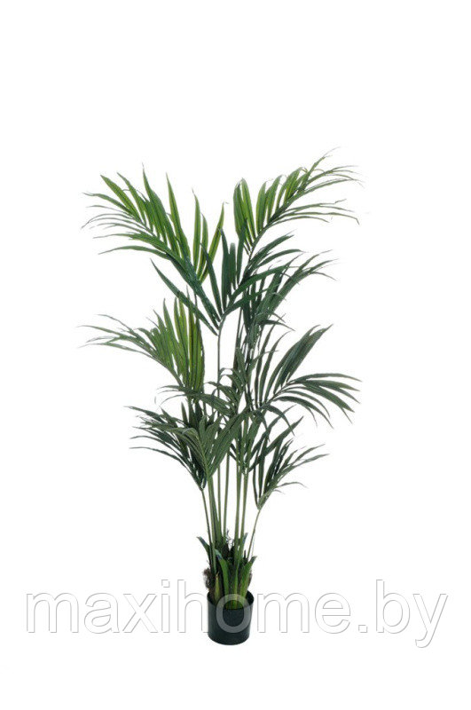 Искусственное растение "Пальма Кентия" 1,9 м - фото 1 - id-p202202886