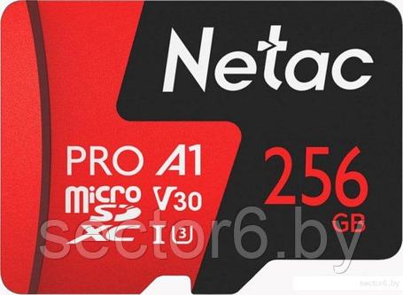 Карта памяти Netac P500 Extreme Pro 256GB NT02P500PRO-256G-S, фото 2