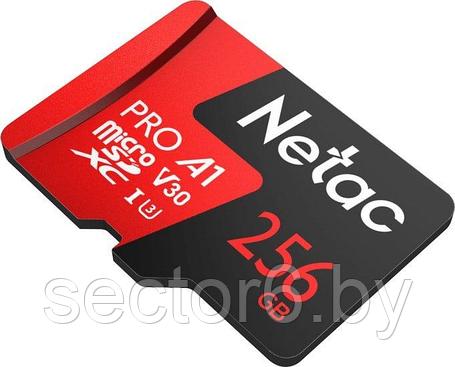 Карта памяти Netac P500 Extreme Pro 256GB NT02P500PRO-256G-S, фото 2