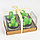 Декоративные свечи "Кактусы" 4шт. в подарочной упаковке, фото 4