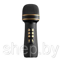 Беспроводной микрофон караоке Wster WS-898   цвет : черный