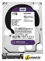 Жесткий диск WD Purple 1TB [WD10PURZ]