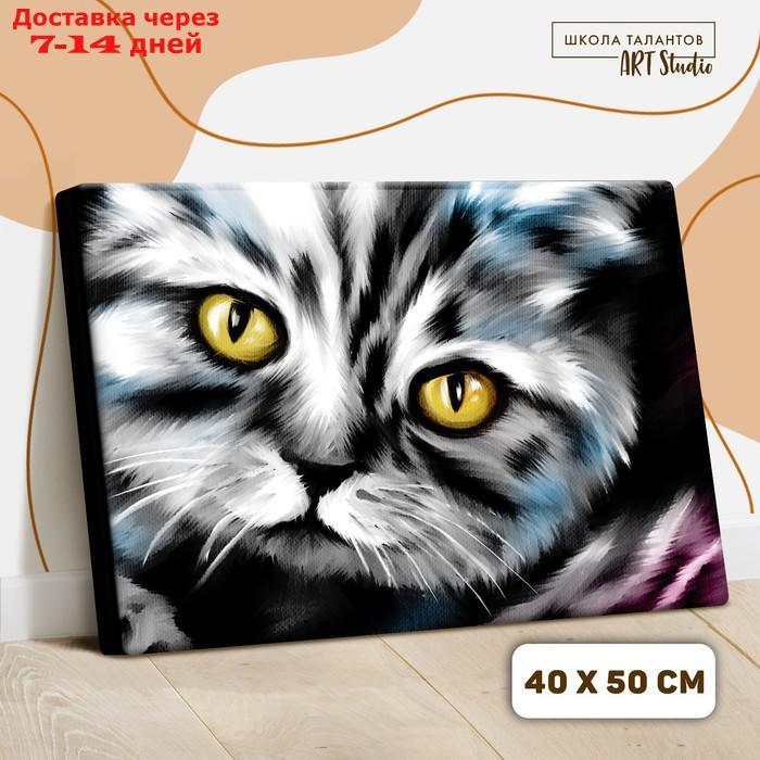 Картина по номерам на холсте с подрамником "Котик" 40х50 см - фото 2 - id-p202224889