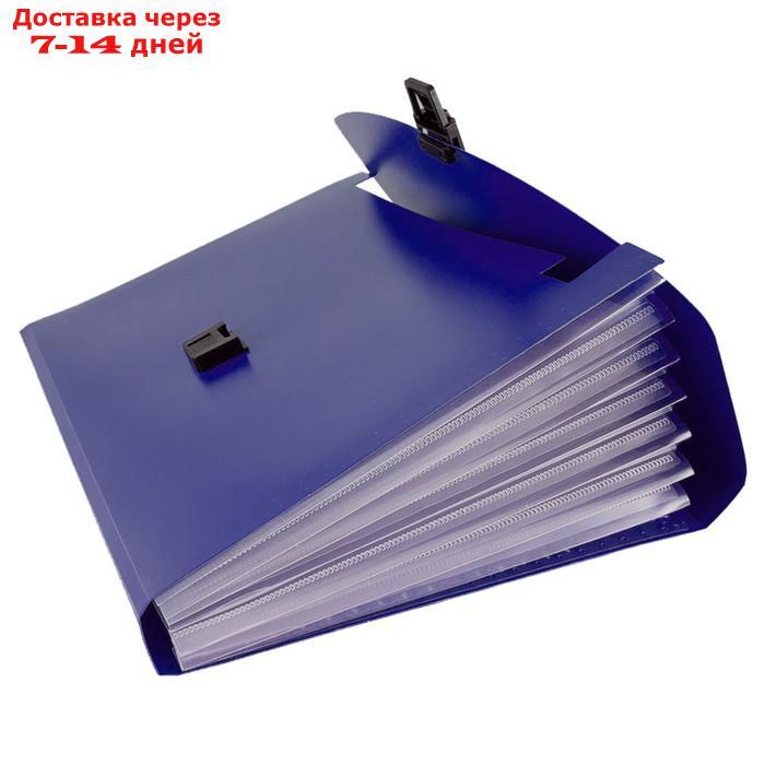 Папка-портфель А4 13 отд Calligrata 330*235*36мм, 700мкм, синяя - фото 2 - id-p202225686