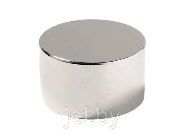 Магнит неодимовый диск 50х20мм сцепление 89кг REXANT 72-3021