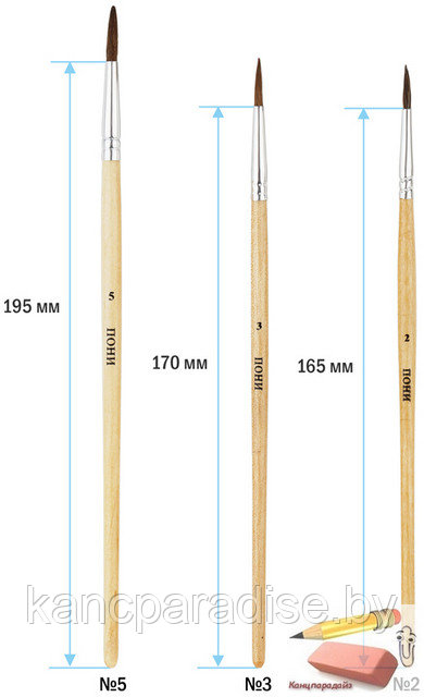 Набор кистей ArtSpace, 3 штуки, №2, 3, 5 круглые, пони - фото 2 - id-p202263391