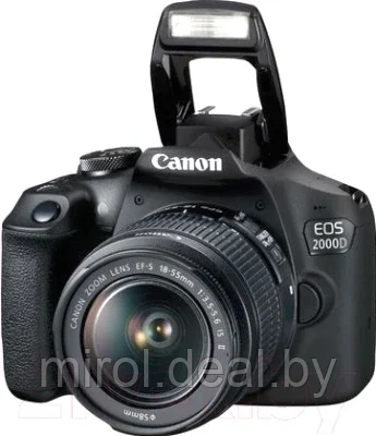 Зеркальный фотоаппарат Canon EOS 2000D Kit EF-S 18-55mm III / 2728C002AA - фото 3 - id-p202291547