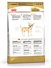 "Royal Canin" Chihuahua Adult сухой корм для взрослых собак породы Чихуахуа 1,5кг, фото 2