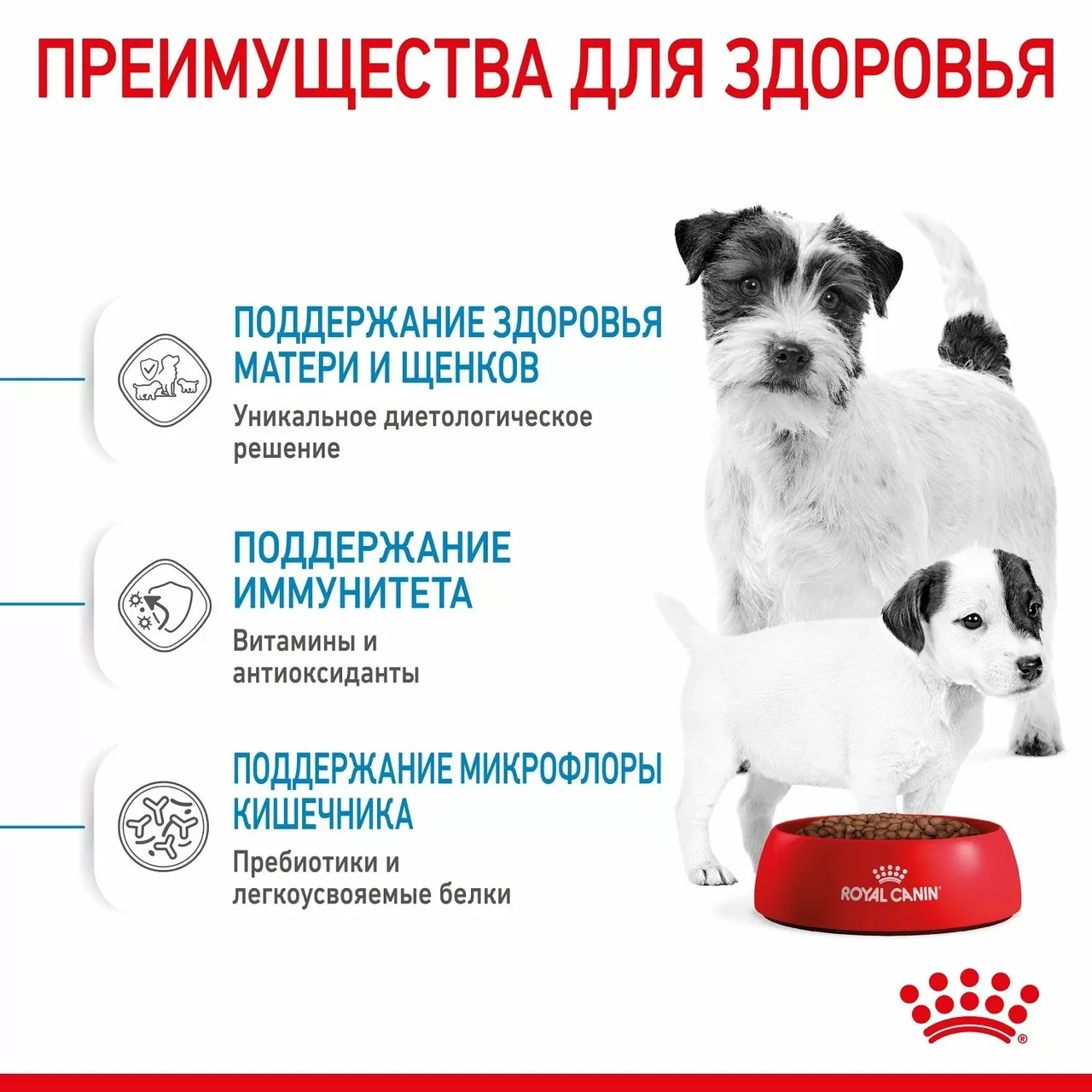 "Royal Canin" Mini Starter сухой корм для щенков мелких пород до 2-х месяцев, беременных и кормящих сук 1кг - фото 5 - id-p202344989