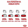 "Royal Canin" Mini Starter сухой корм для щенков мелких пород до 2-х месяцев, беременных и кормящих сук 1кг, фото 9