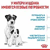 "Royal Canin" Mini Starter сухой корм для щенков мелких пород до 2-х месяцев, беременных и кормящих сук 1кг, фото 4