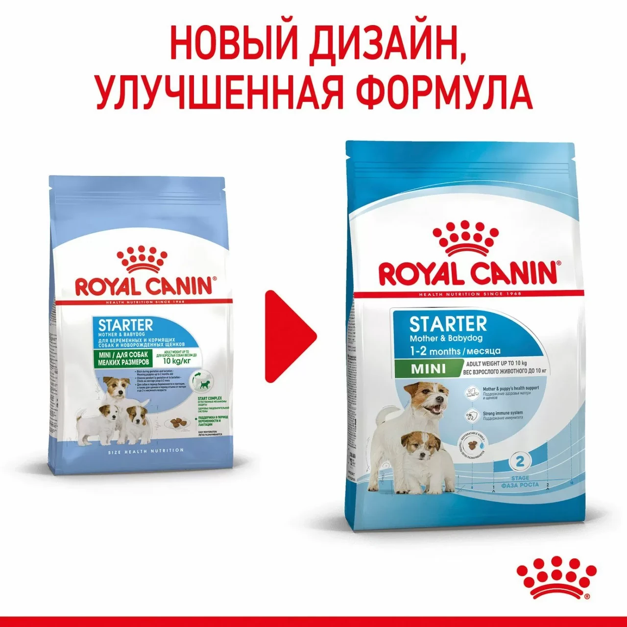 "Royal Canin" Mini Starter сухой корм для щенков мелких пород до 2-х месяцев, беременных и кормящих сук 1кг - фото 2 - id-p202344989