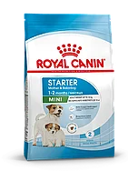 "Royal Canin" Mini Starter сухой корм для щенков мелких пород до 2-х месяцев, беременных и кормящих сук 1кг