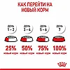 "Royal Canin" Mini Puppy сухой корм для щенков мелких пород до 10 месяцев 800г, фото 8