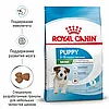 "Royal Canin" Mini Puppy сухой корм для щенков мелких пород до 10 месяцев 800г, фото 3