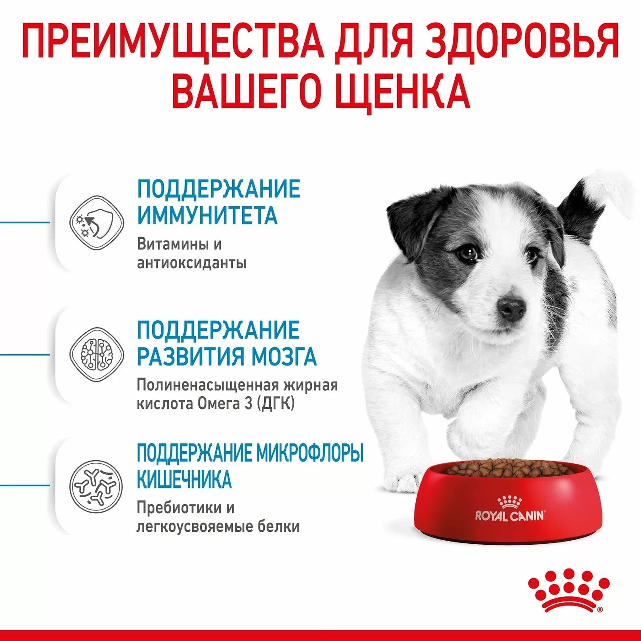 "Royal Canin" Mini Puppy сухой корм для щенков мелких пород до 10 месяцев 800г - фото 6 - id-p202345009