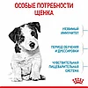 "Royal Canin" Mini Puppy сухой корм для щенков мелких пород до 10 месяцев 800г, фото 5