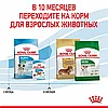 "Royal Canin" Mini Puppy сухой корм для щенков мелких пород до 10 месяцев 800г, фото 10