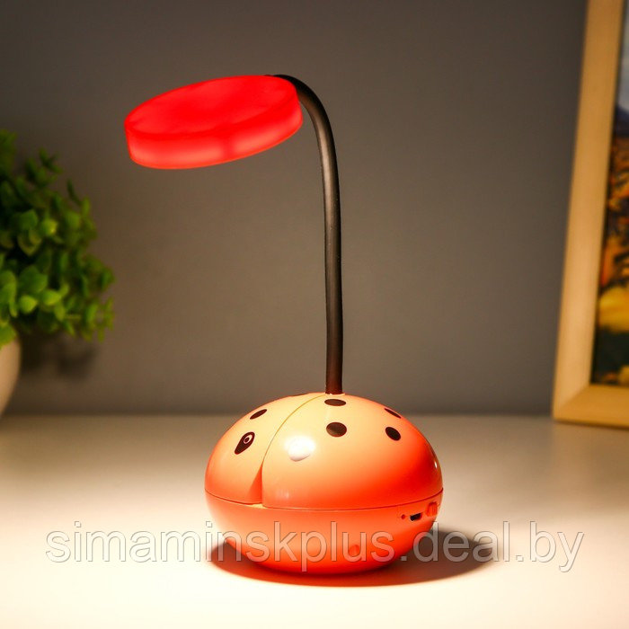 Настольная лампа "Жучок" LED 3Вт USB АКБ МИКС 8,5х8,5х25,5 см - фото 4 - id-p202413316