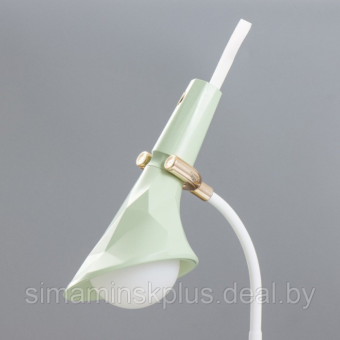 Настольная лампа "Делсер" LED 3Вт USB АКБ зелёный 14х13х39 см - фото 8 - id-p202413342
