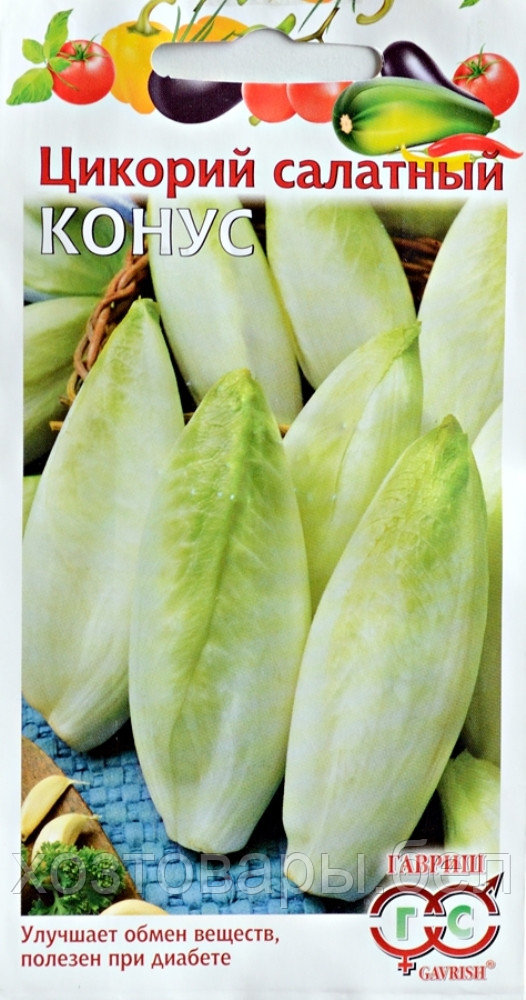 Салат цикорий Конус цикорный (Витлуф) 0,1г Ср (Гавриш)